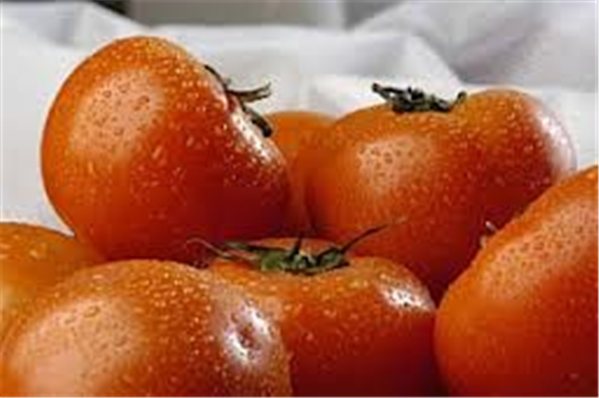 TOMATE DANIELA-lateral