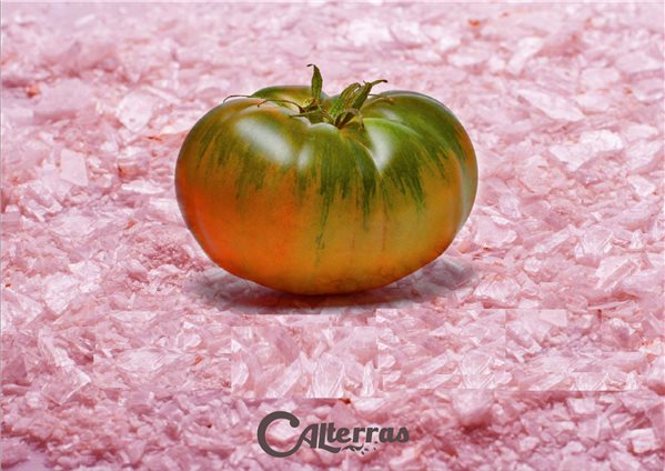 Tomate Moruno Calizo-detalle