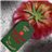 Tomate Moruno Calizo-lateral