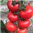 Tomate pera para rallar-izquierda