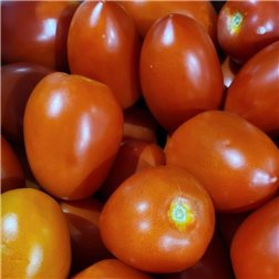 Tomate pera