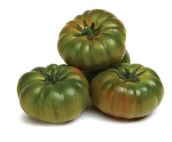 Tomate Raf Extra - 2 unités