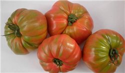 Tomate Rosa 1 unidad