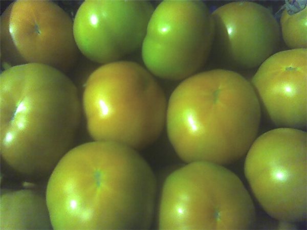 La traducción de "TOMATE VEGA CAÑADA" al alemán es "TOMATE VEGA CAÑADA". Si "Vega Cañada" se refiere a un nombre propio, como podría ser el nombre de un lugar o una marca, no se traduce. Si necesitas una traducción diferente o más contexto, házmelo saber.-lateral