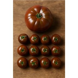 Tomates cerises de Terroir