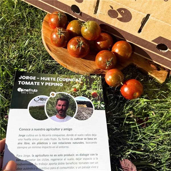 Tomates cerises de Terroir-trasera