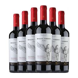 Torres Ándica Cabernet Sauvignon Valle del Maule 75 cl Vino Tinto (Caja de 6 unidades)