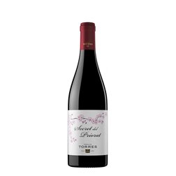 Tours secrets du Priorat 2022