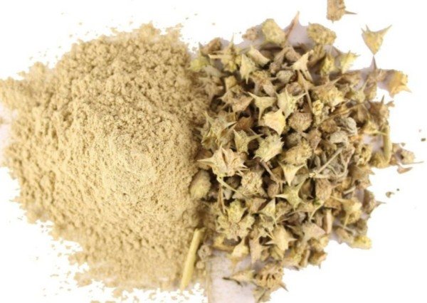 Tribulus Terrestris en Polvo BIO - 150g-lateral
