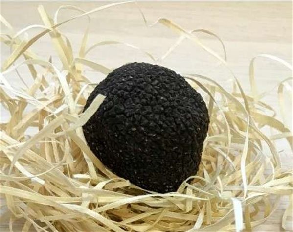Summer truffle 0.5kg (Aestivum truffle)-detalle