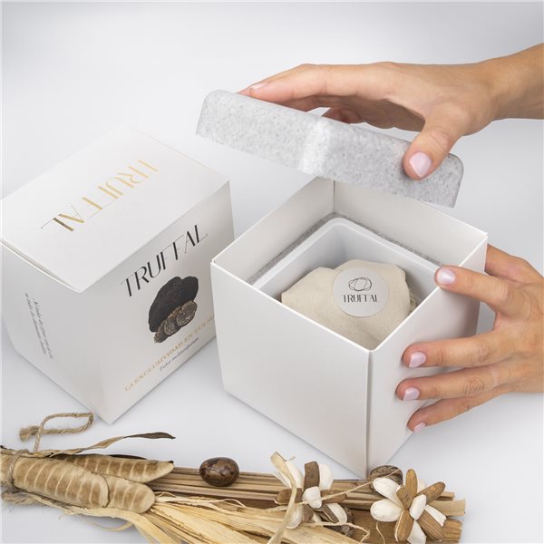 Summer Truffle (Tuber Aestivum)-detalle