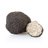 Summer Truffle (Tuber Aestivum)