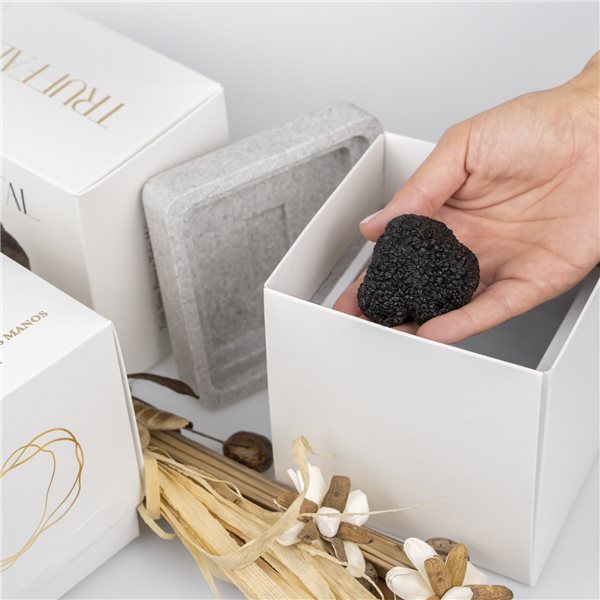 Summer Truffle (Tuber Aestivum)-trasera