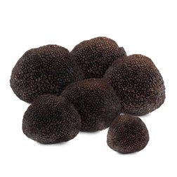 Truffe Melanosporum 300gr