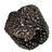 Trufa Negra Melanosporum M - (30gr)-detalle