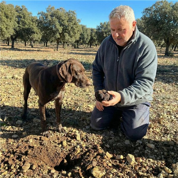 Truffe noire 35g, le champignon mystique.-izquierda