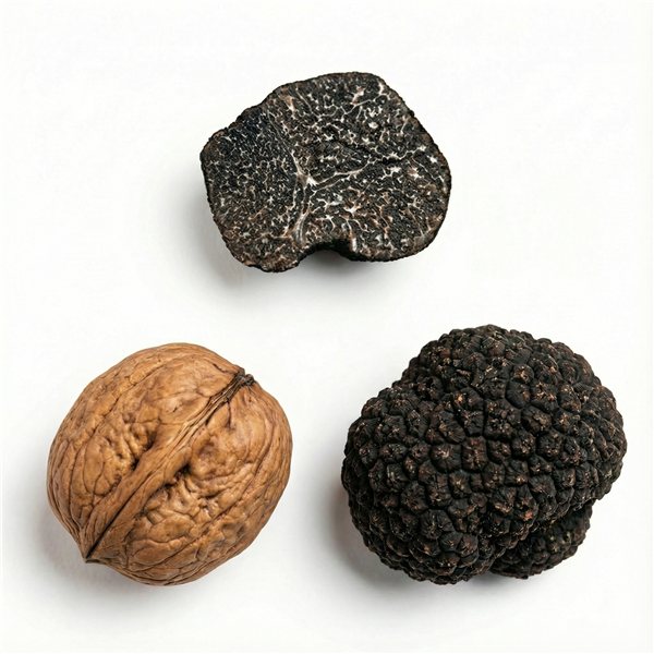 Truffe noire 35g, le champignon mystique.-trasera
