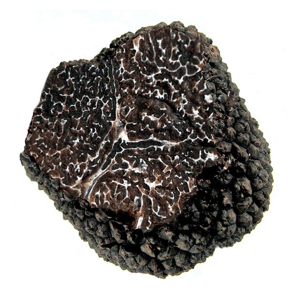 Melanosporum L Trüffel - (60gr)-detalle