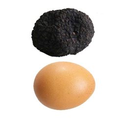 Trüffel Uncinatum- Herbsttrüffel L -70grr