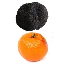 Trüffel Uncinatum - Herbsttrüffel XL - 100gr