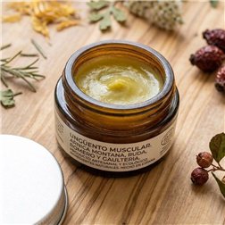 BIO WUNDHEILMITTEL 30g Schmerzlinderung für Muskeln und Gelenke