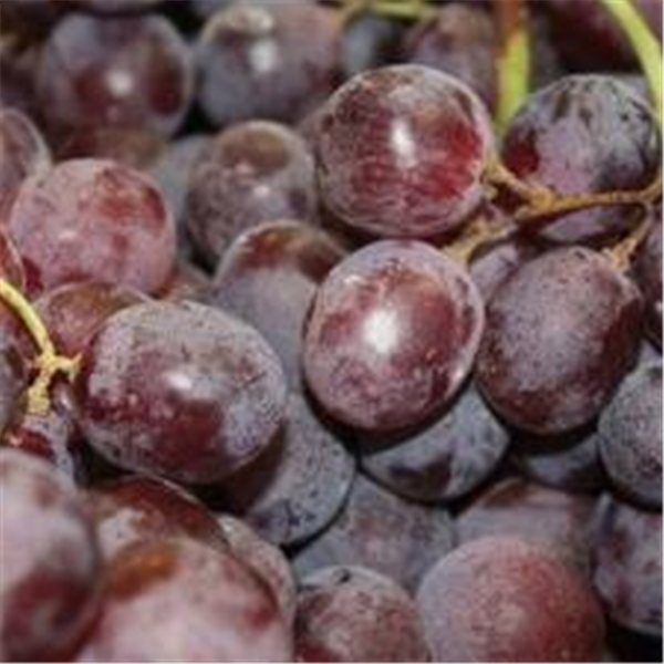 Black seedless grape-detalle