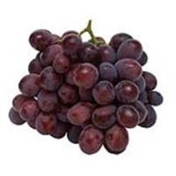 Black seedless grape-lateral
