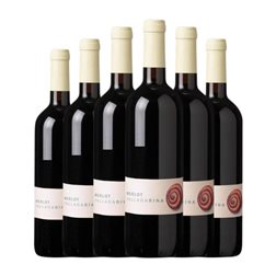 Valdadige Veronese Merlot Vallagarina 75 cl Vino Tinto (Caja de 6 unidades)
