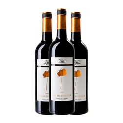 Valdebodega Tempranillo Ribera del Duero Crianza 75 cl Vino Tinto (Caja de 3 unidades)