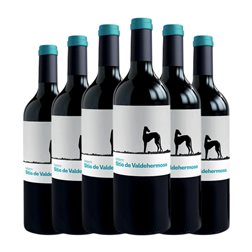 Valderiz Sitio de Valdehermoso Tempranillo Ribera del Duero 75 cl Vino Tinto (Caja de 6 unidades)