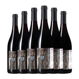 Valdovinos Bresque Syrah Seco Somontano 75 cl Vino Tinto (Caja de 6 unidades)