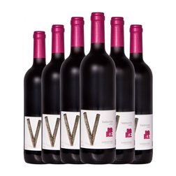 Valdovinos Seco Somontano Roble 75 cl Vino Tinto (Caja de 6 unidades)