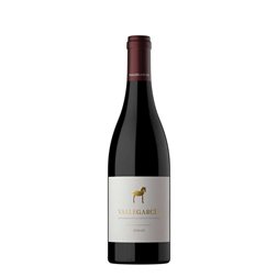 Vallegarcía Syrah 2024
