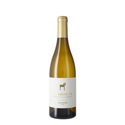 Vallegarcía Viognier 2024