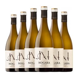 Valtravieso Nogara Verdejo Rueda 75 cl Vino Blanco (Caja de 6 unidades)