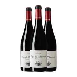 Valtuille Pago de Valdoneje Mencía Bierzo Botella Magnum 1,5 L Vino Tinto (Caja de 3 unidades)