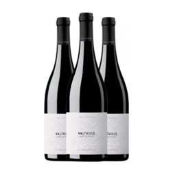 Valtuille Pago de Valdoneje Mencía Bierzo Vino de Village 75 cl Vino Tinto (Caja de 3 unidades)