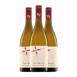 Van Volxem Pinot Blanco Trocken — Seco Mosel VV Vieilles Vignes — Viñas Viejas 75 cl Vino Blanco (Caja de 3 unidades)