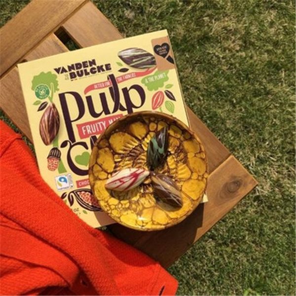VANDENBULCKE PULP'N CHOC DARK RELLE VEGAN 120 G-detalle