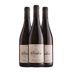 Ventica Bobal Ribera del Júcar 75 cl Vino Tinto (Caja de 3 unidades)