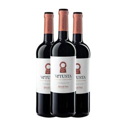 Vetusta Fuentenebro Tempranillo Seco Ribera del Duero 75 cl Vegano Vino Tinto (Caja de 3 unidades)