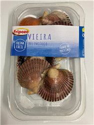 Frozen Pacific Scallops