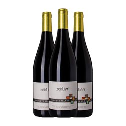 Vigneti Massa Sentieri Bacca Colli Tortonesi 75 cl Vino Tinto (Caja de 3 unidades)