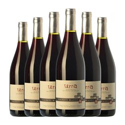 Vigneti Massa Terra Bacca Colli Tortonesi 75 cl Vino Tinto (Caja de 6 unidades)
