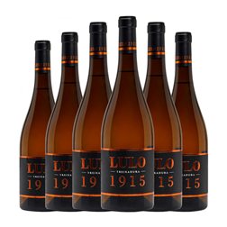 Villanueva Senra Lulo 1915 Treixadura Ribeiro 75 cl Vino Blanco (Caja de 6 unidades)