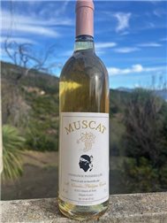 VIN MUSCAT 14° VOL 75 CL. Charles-Philippe Casale

WEIN MUSCAT 14° VOL 75 CL. Charles-Philippe Casale