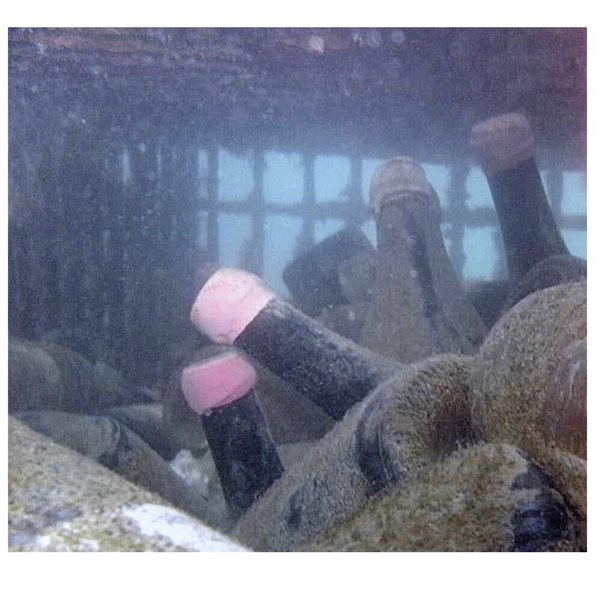 Vin rouge immergé Bordeaux supérieur Château Pertignas 75cl-detalle