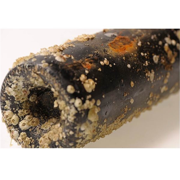 Red wine immersed Médoc Tour Haut Caussan 150cl-izquierda