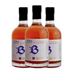 Vinagre Le Bon Le Génésque Botellín Tercio 35 cl Gingembre — Jengibre (Caja de 3 unidades)
