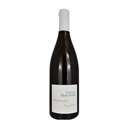 Vincent Pinard Chêne Marchand Sauvignon Sancerre 75 cl Vino Blanco